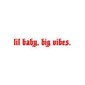 lil baby, big vibes - sticker